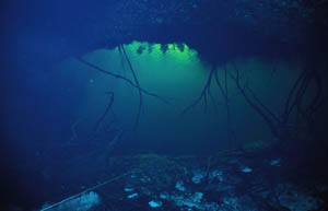 Cavern-Bereich, (c) Wilhelm Bögershausen